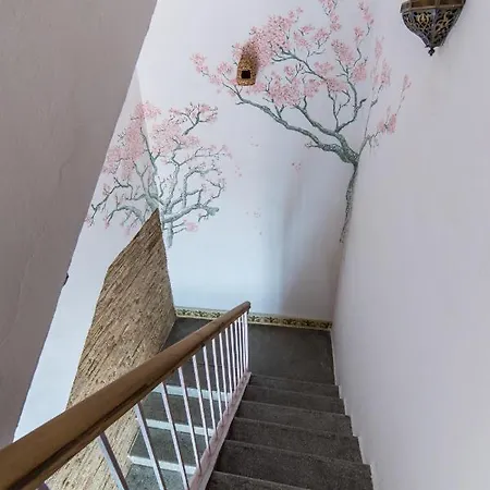 Szálloda Patio Marquez Córdoba