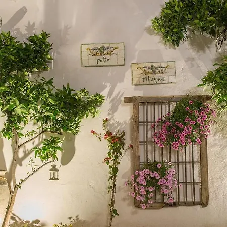 Patio Marquez ホテル コルドバ