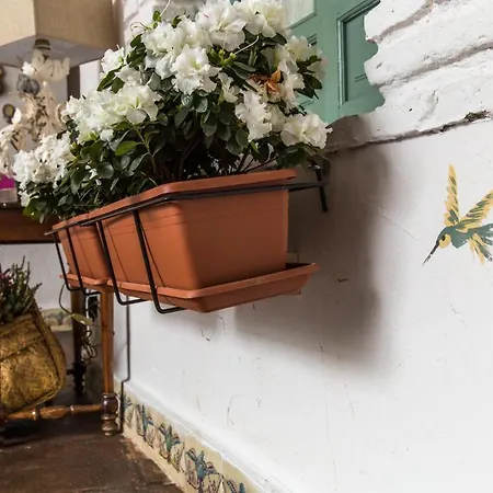 Hotel Patio Marquez Kordoba