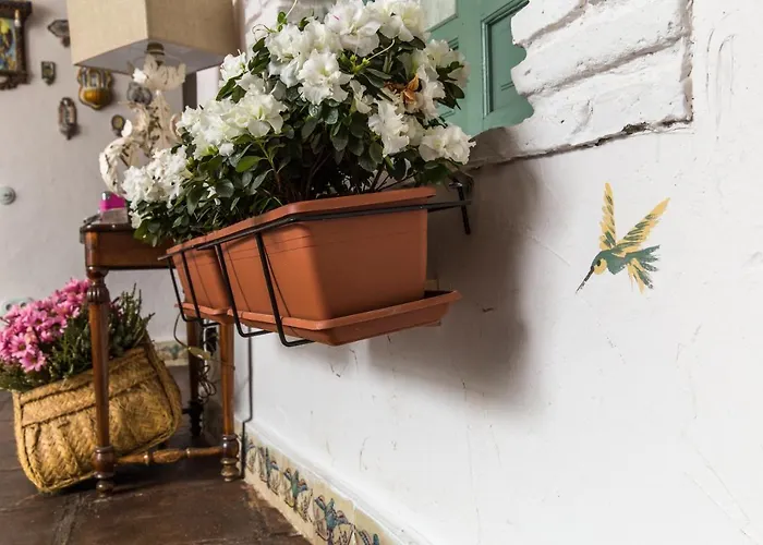 Hotell Patio Marquez Córdoba