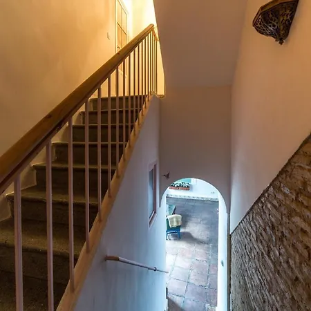 Patio Marquez *