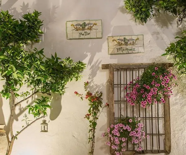 Patio Marquez Hotel Córdoba