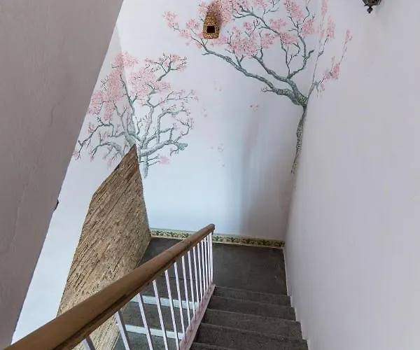 Отель Patio Marquez Кордова